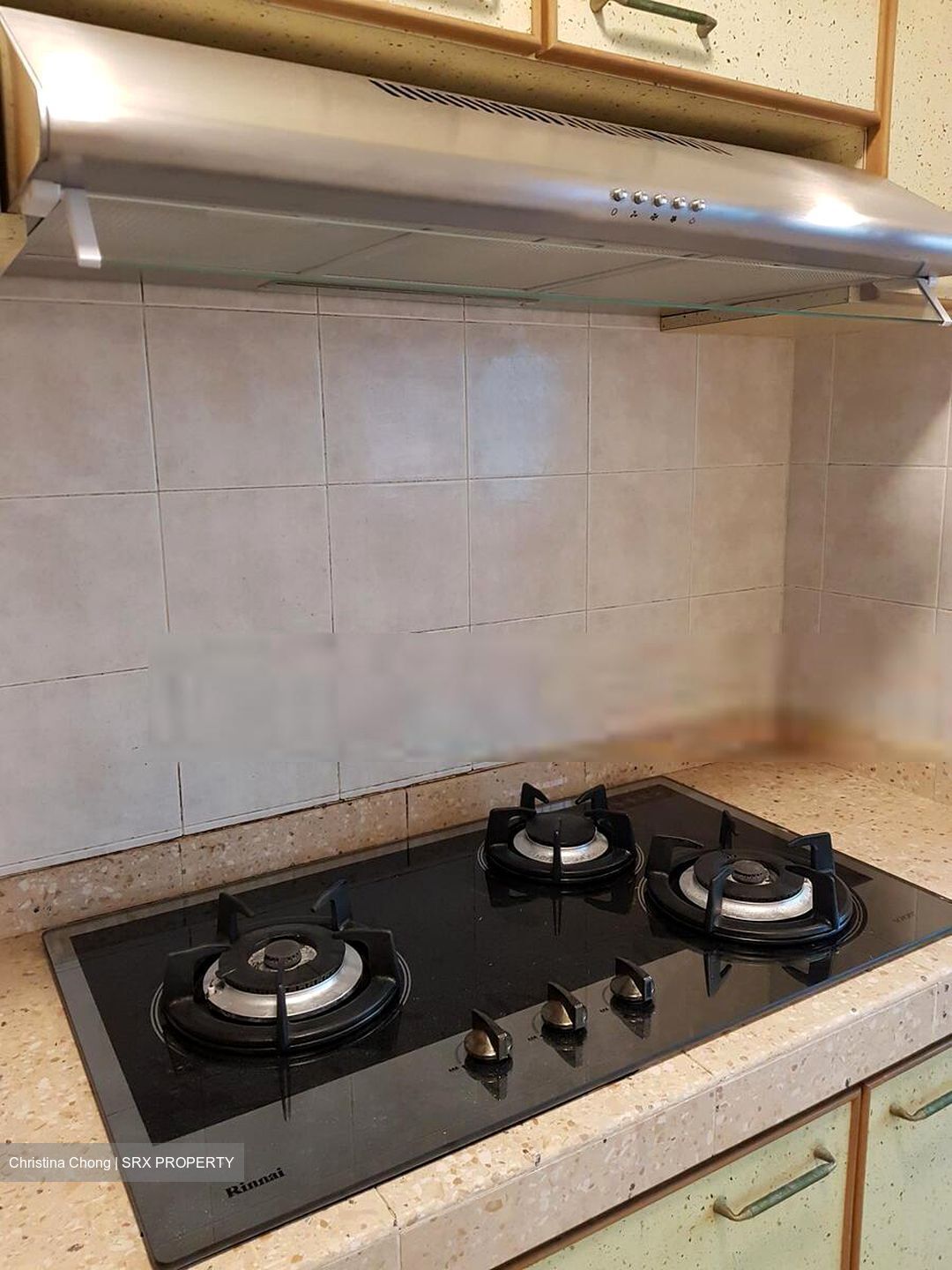 Blk 63B Lengkok Bahru Heights (Bukit Merah), HDB 4 Rooms #578714271